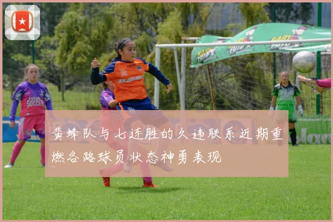 黄蜂队与七连胜的久违联系近期重燃各路球员状态神勇表现